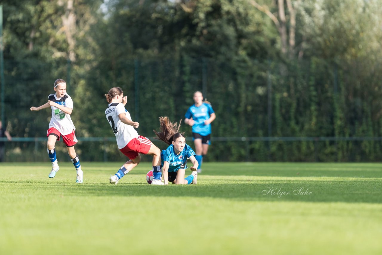 Bild 211 - wBJ VfL Pinneberg - Hamburger SV 2 : Ergebnis: 1:3